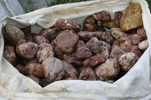 Kamenclub.ru: Розовый валунчик фр.100-300 мм.  купить в Электростали крупный природный камень розовый, серый молочный красный речной галечник природный 7850 руб/т   фото КАМЕНЬ КЛУБ