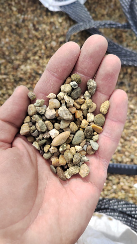 Kamenclub.ru: Галька окат (серо-желтая) фр.5-10 мм. купить  в Электростали галька речная рыжий, желтый, рыжий, серо-желтый речная окатанная галька декоративная 5000 руб/т   фото КАМЕНЬ КЛУБ